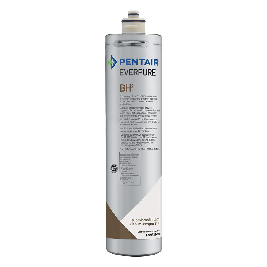 Replacement BH-2 Everpure Water Filter